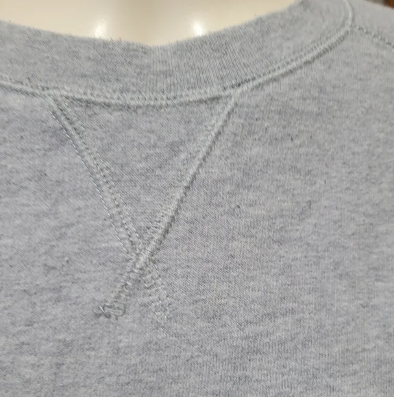 champion sweatshirt 2010s pullover ₊✩‧₊˚౨ৎ˚₊✩‧₊ - Picture 4 of 6